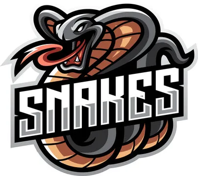 Team B Logo